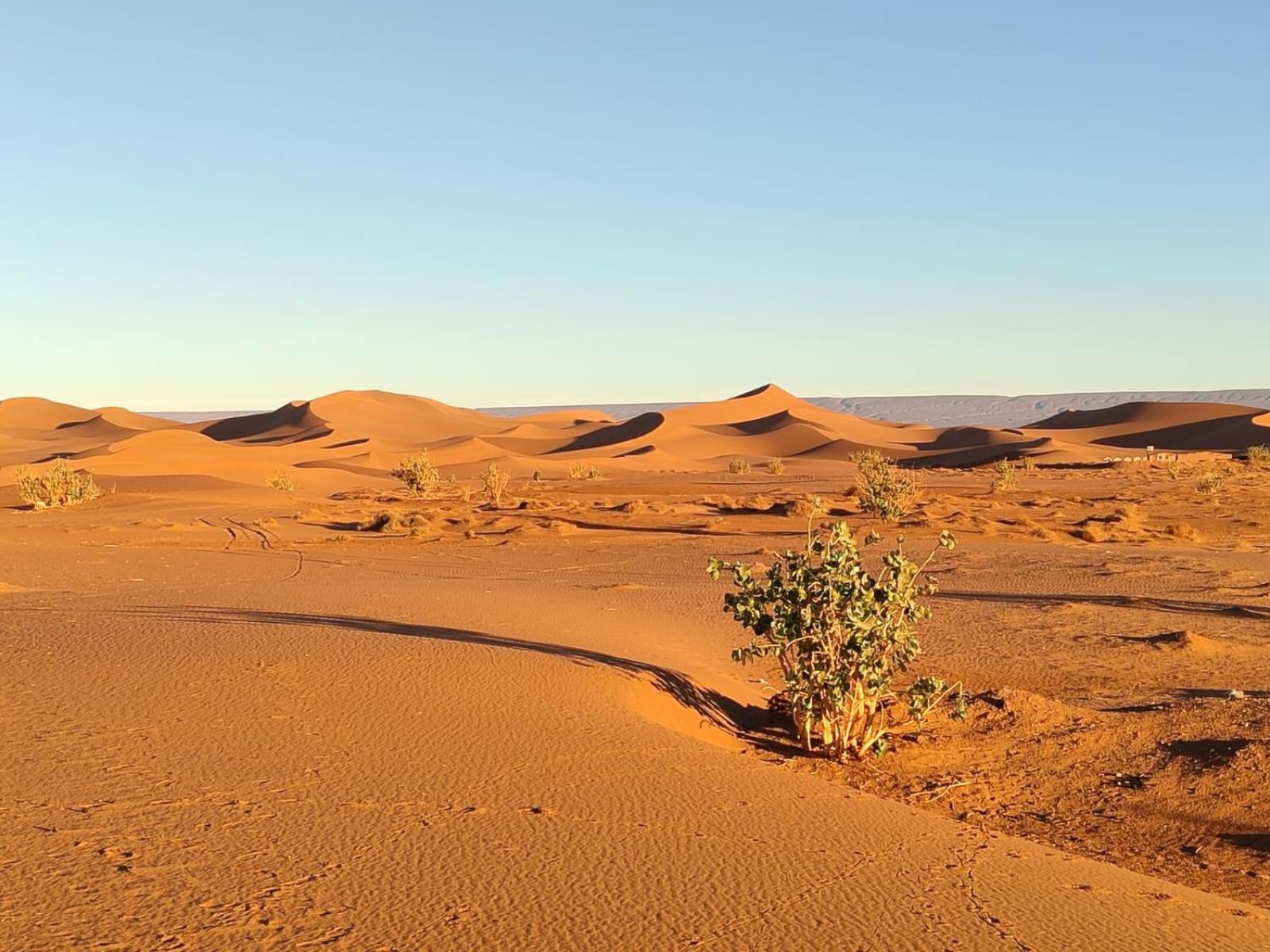 Camp Desert Bivouac Chegaga El Gouera Exterior foto