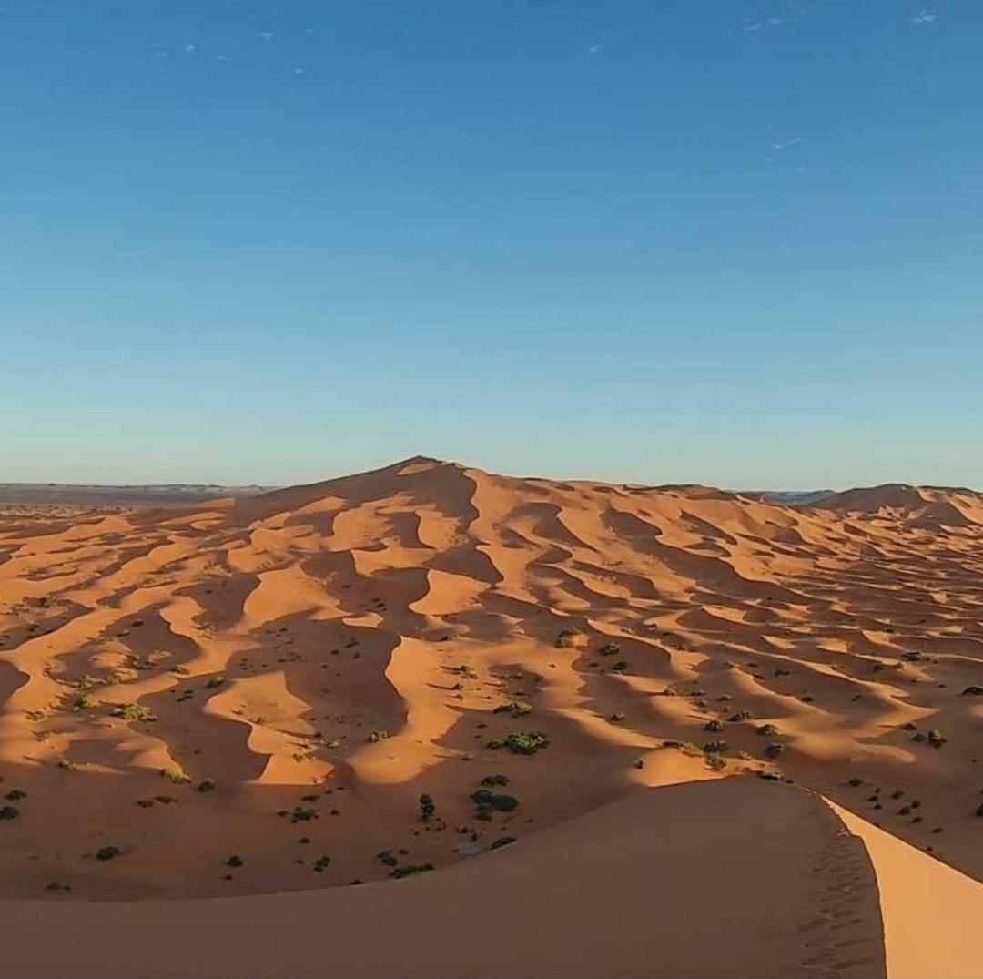 Camp Desert Bivouac Chegaga El Gouera Exterior foto