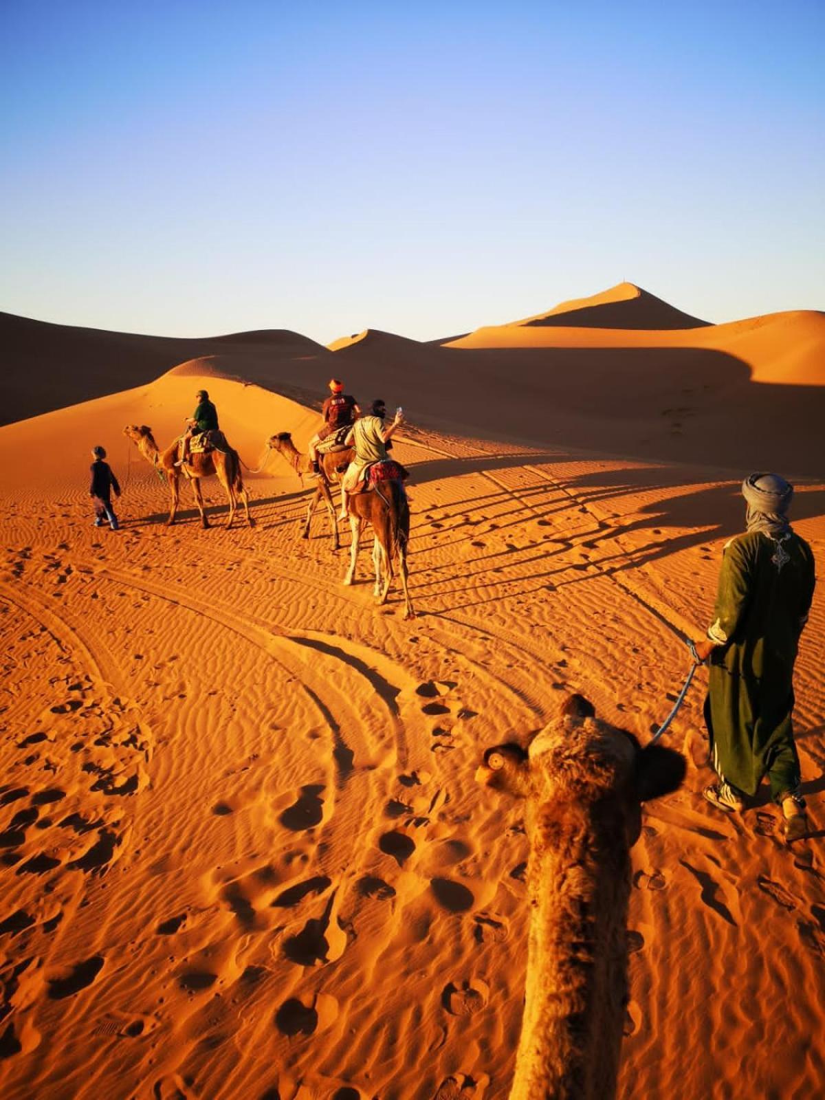 Camp Desert Bivouac Chegaga El Gouera Exterior foto