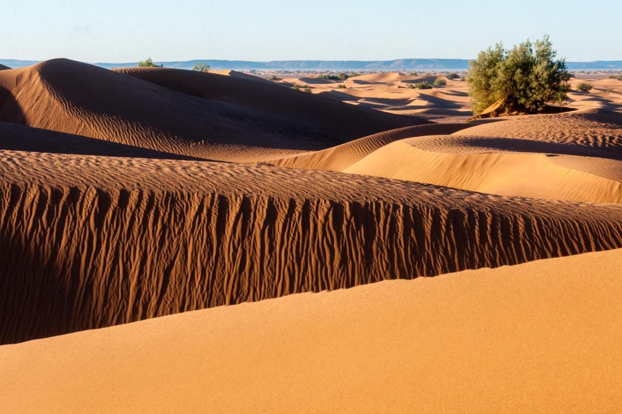 Camp Desert Bivouac Chegaga El Gouera Exterior foto
